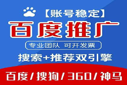 百度竞价代理操作手册：成功案例分析